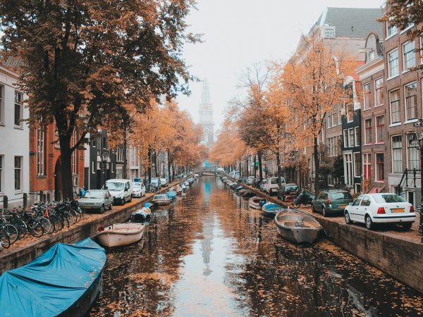 boats on river between trees during daytime