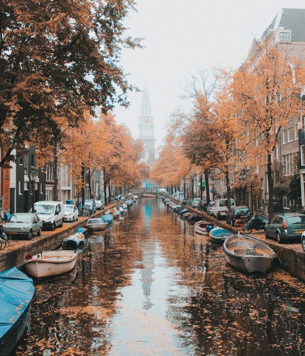 boats on river between trees during daytime