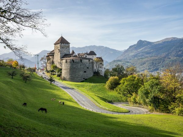 a castle on a hill