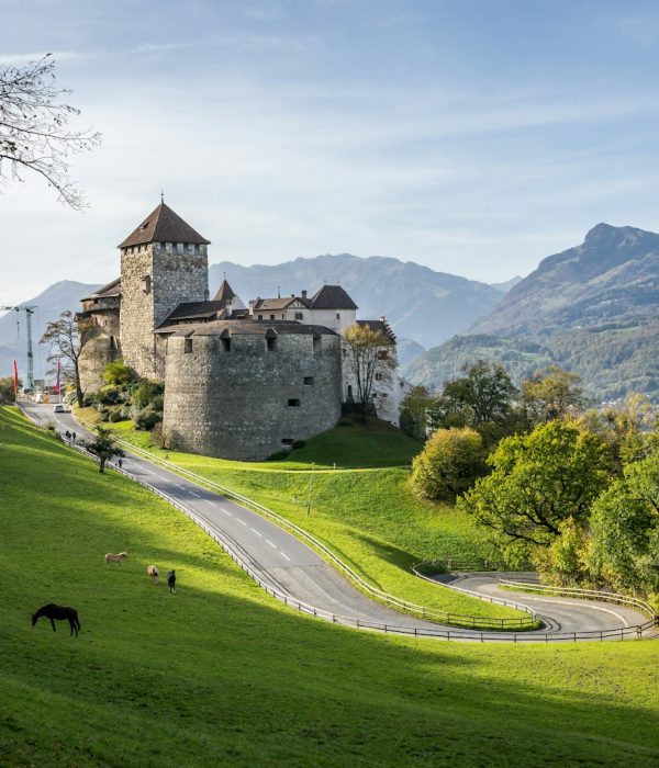 a castle on a hill