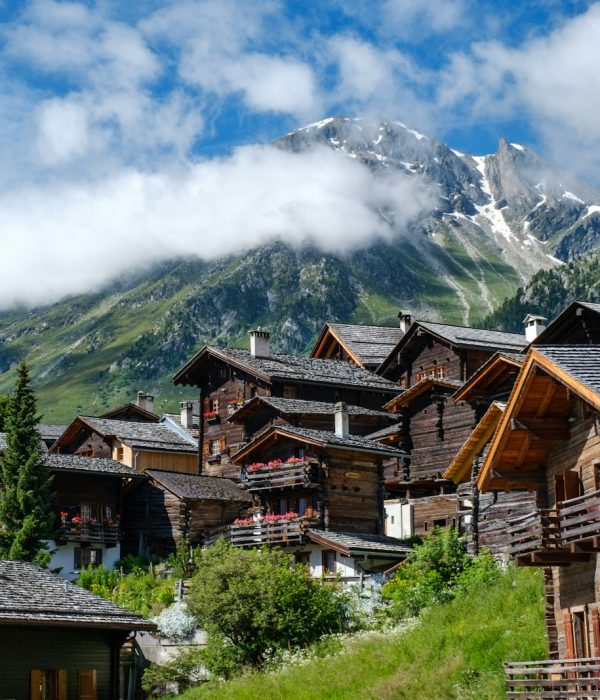 brown wooden houses near green trees and mountain under white clouds during daytime