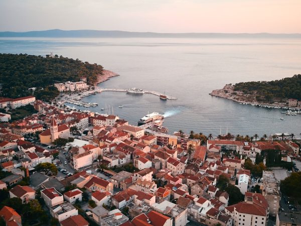 bird's-eye view photography of city