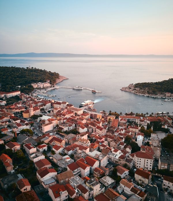 bird's-eye view photography of city